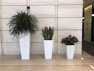 �����̻�����ֲ��